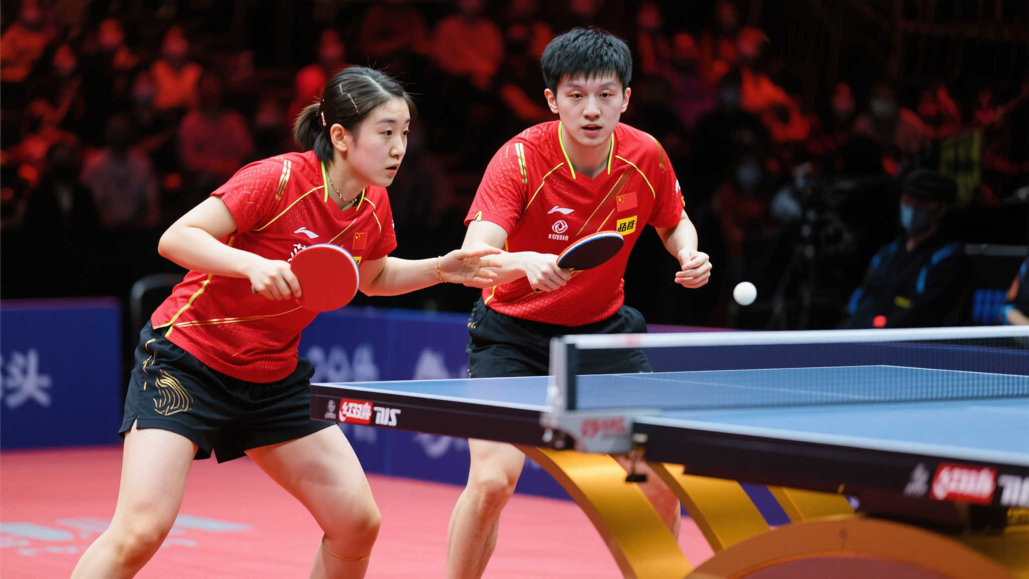 亚历山大的 亚历山大的